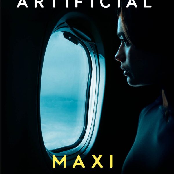 HORIZONTE ARTIFICIAL