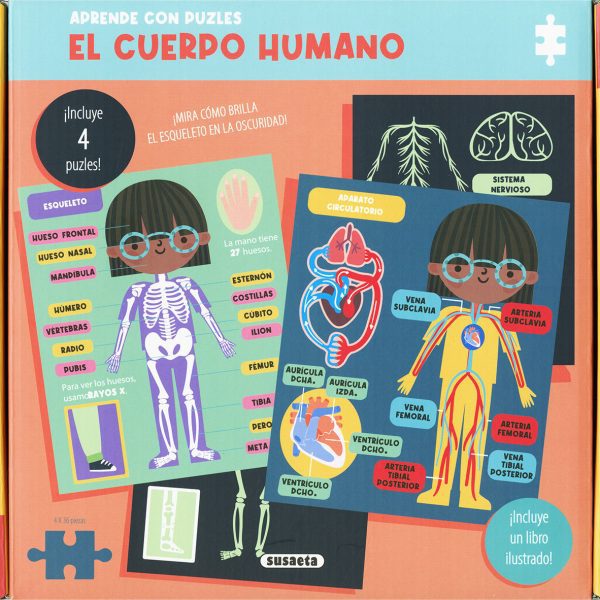 EL CUERPO HUMANO