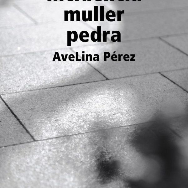 INCIDENCIA MULLER PEDRA