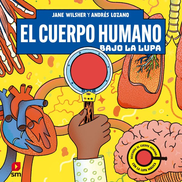 EL CUERPO HUMANO BAJO LA LUPA