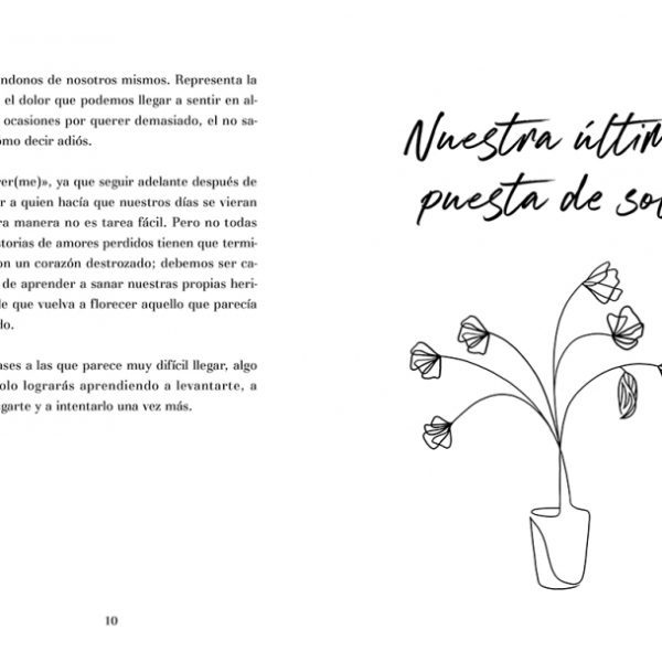 NOS QUEDARAN MAS ATARDECERES (CAMPAÑA EDICION LIMITADA)