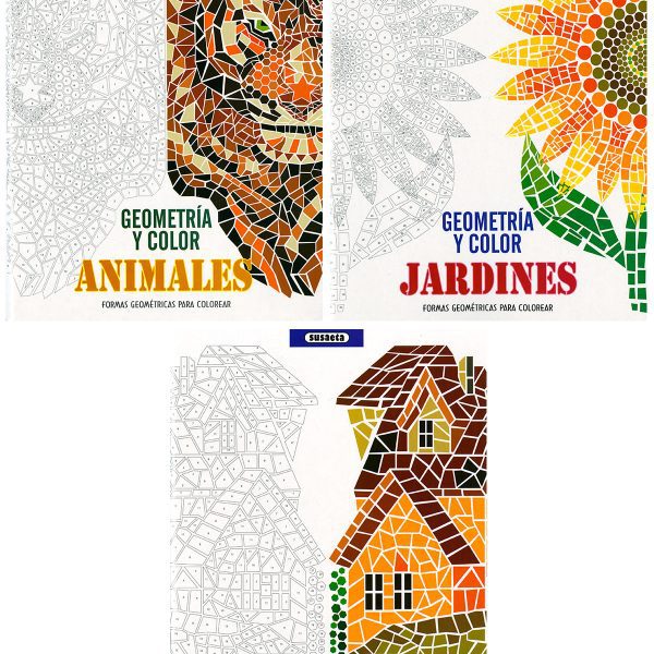 GEOMETRÍA Y COLOR (3 TÍTULOS)