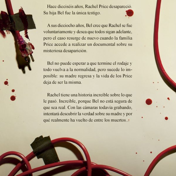 EL RETORNO DE RACHEL PRICE