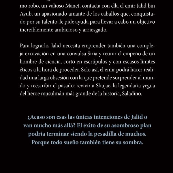 LA SOMBRA DE LOS SUEÑOS