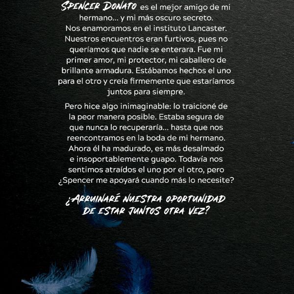 PROMESAS QUE INTENTAMOS MANTENER