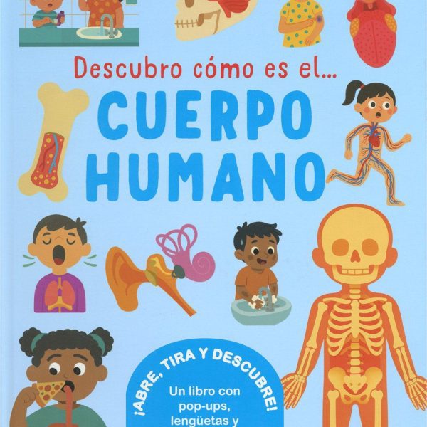 DESCUBRO CÓMO ES EL CUERPO HUMANO