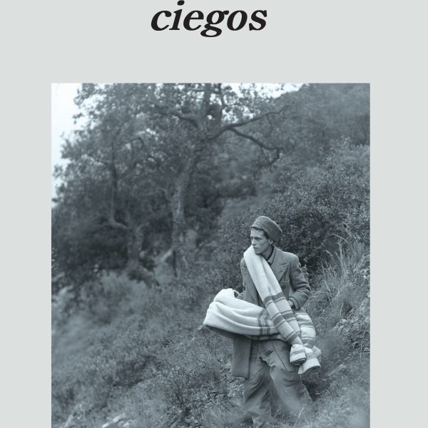 LOS GIRASOLES CIEGOS