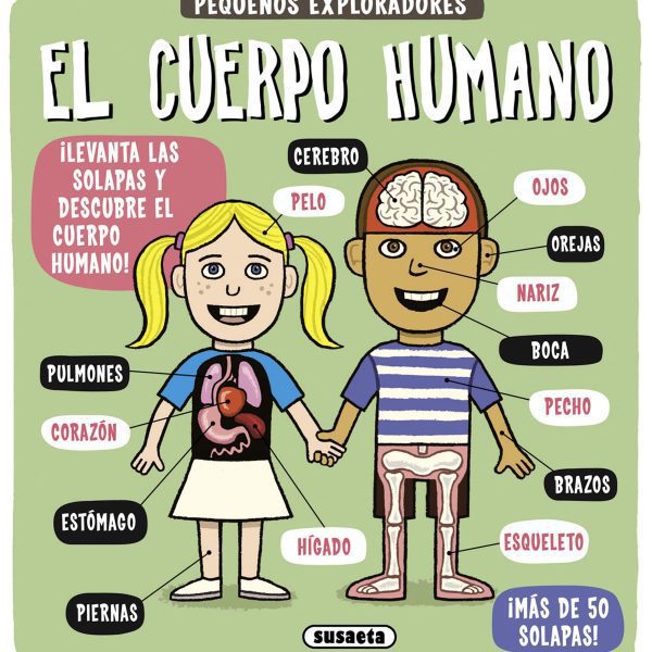 EL CUERPO HUMANO