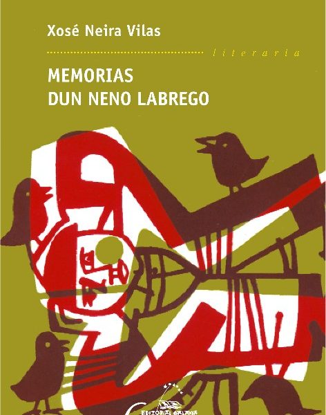 MEMORIAS DUN NENO LABREGO