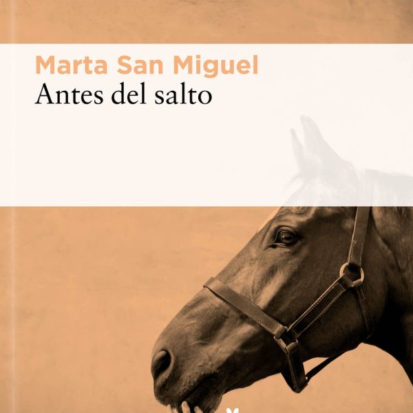 ANTES DEL SALTO