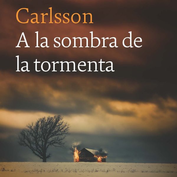 A LA SOMBRA DE LA TORMENTA