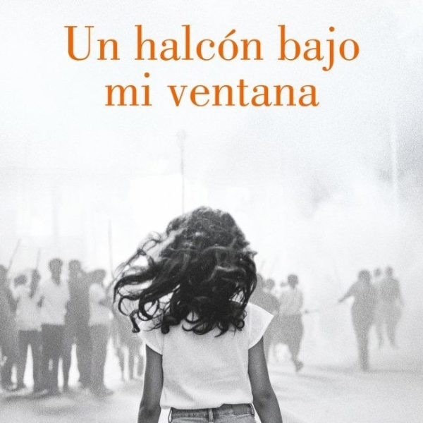 UN HALCÓN BAJO MI VENTANA