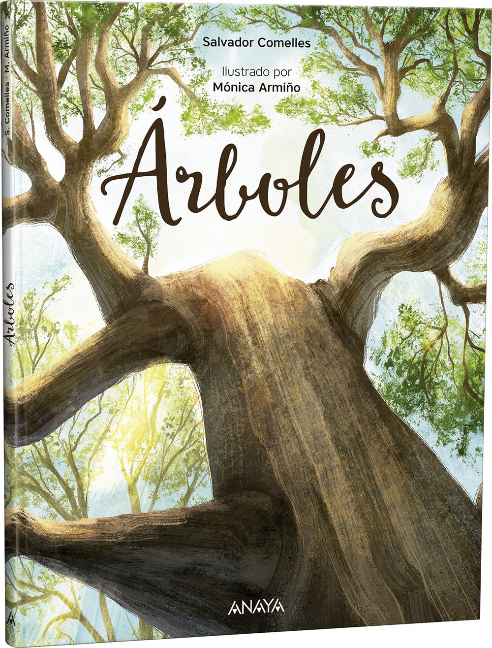ÁRBOLES - Imagen 2