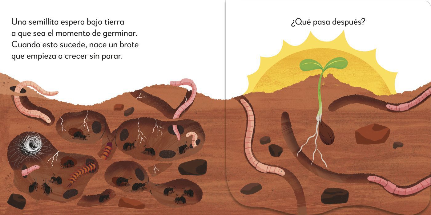 EL ARBOL - Imagen 3