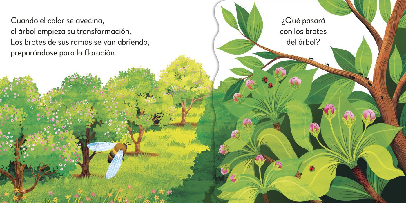 EL ARBOL - Imagen 5