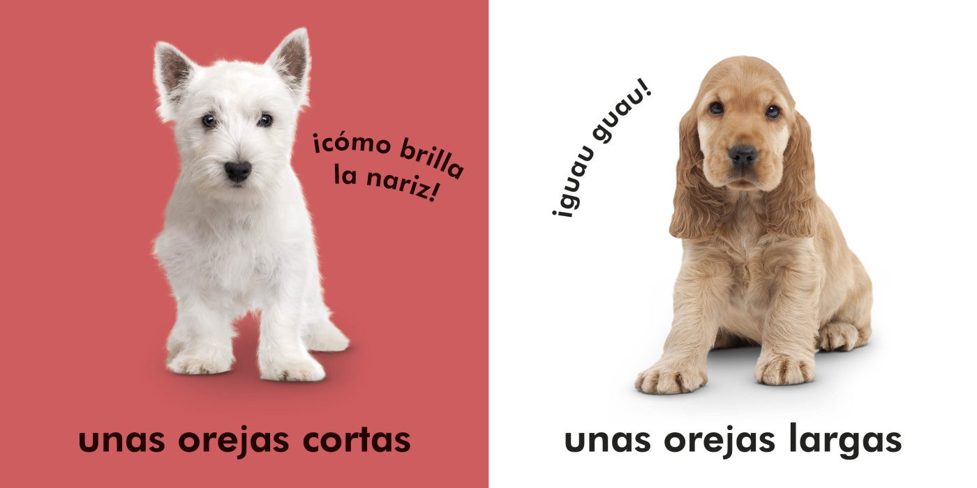 TOCA Y APRENDE: PERRITOS - Imagen 3