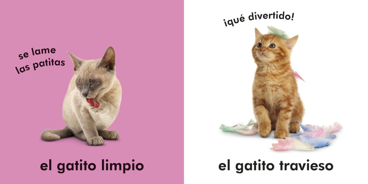 TOCA Y APRENDE: GATITOS - Imagen 4