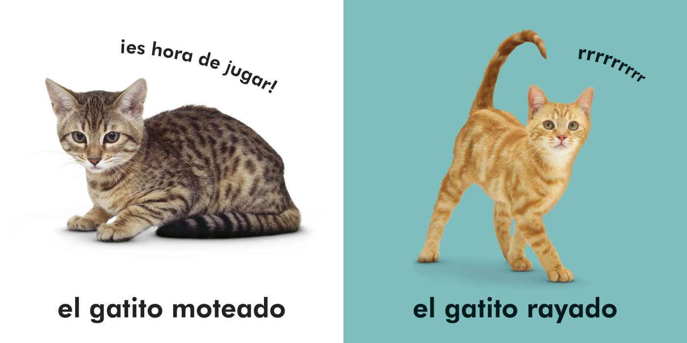 TOCA Y APRENDE: GATITOS - Imagen 3