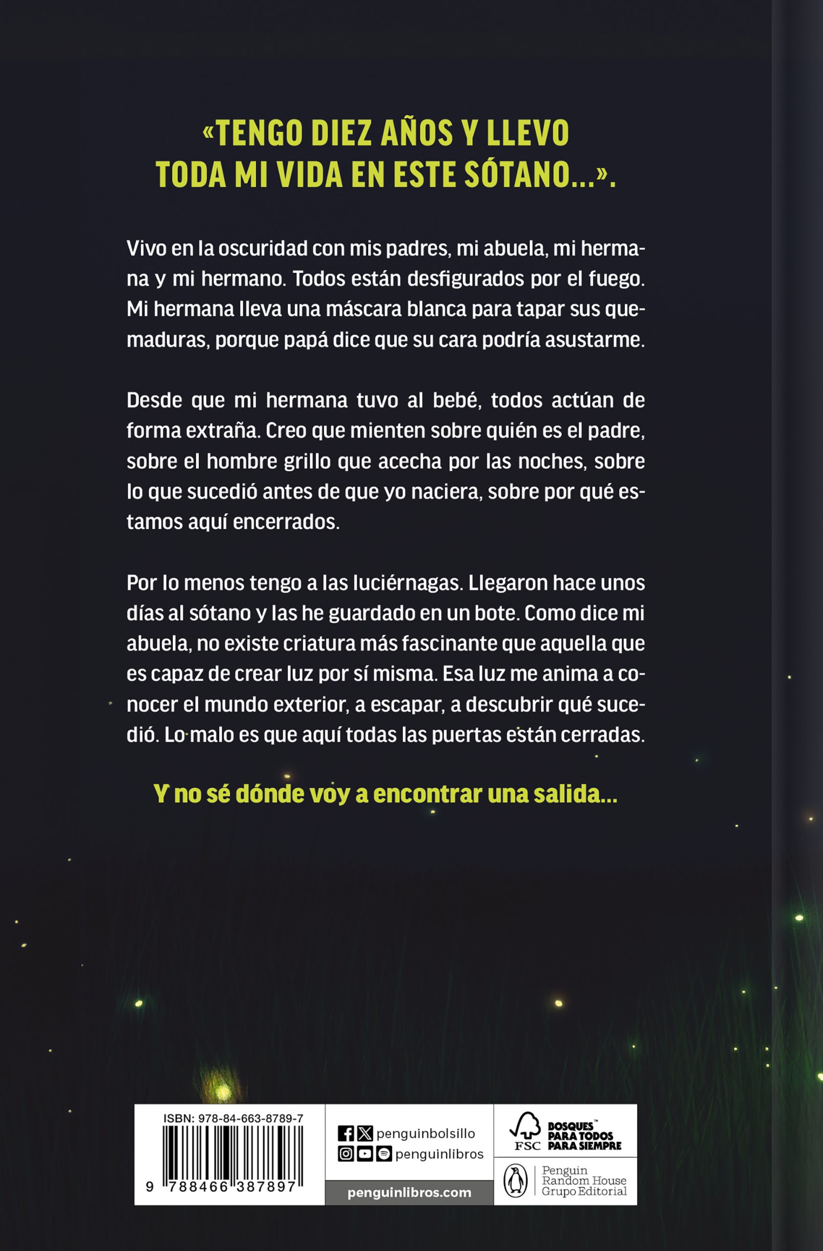EL BRILLO DE LAS LUCIÉRNAGAS (EDICIÓN ESPECIAL LIMITADA)