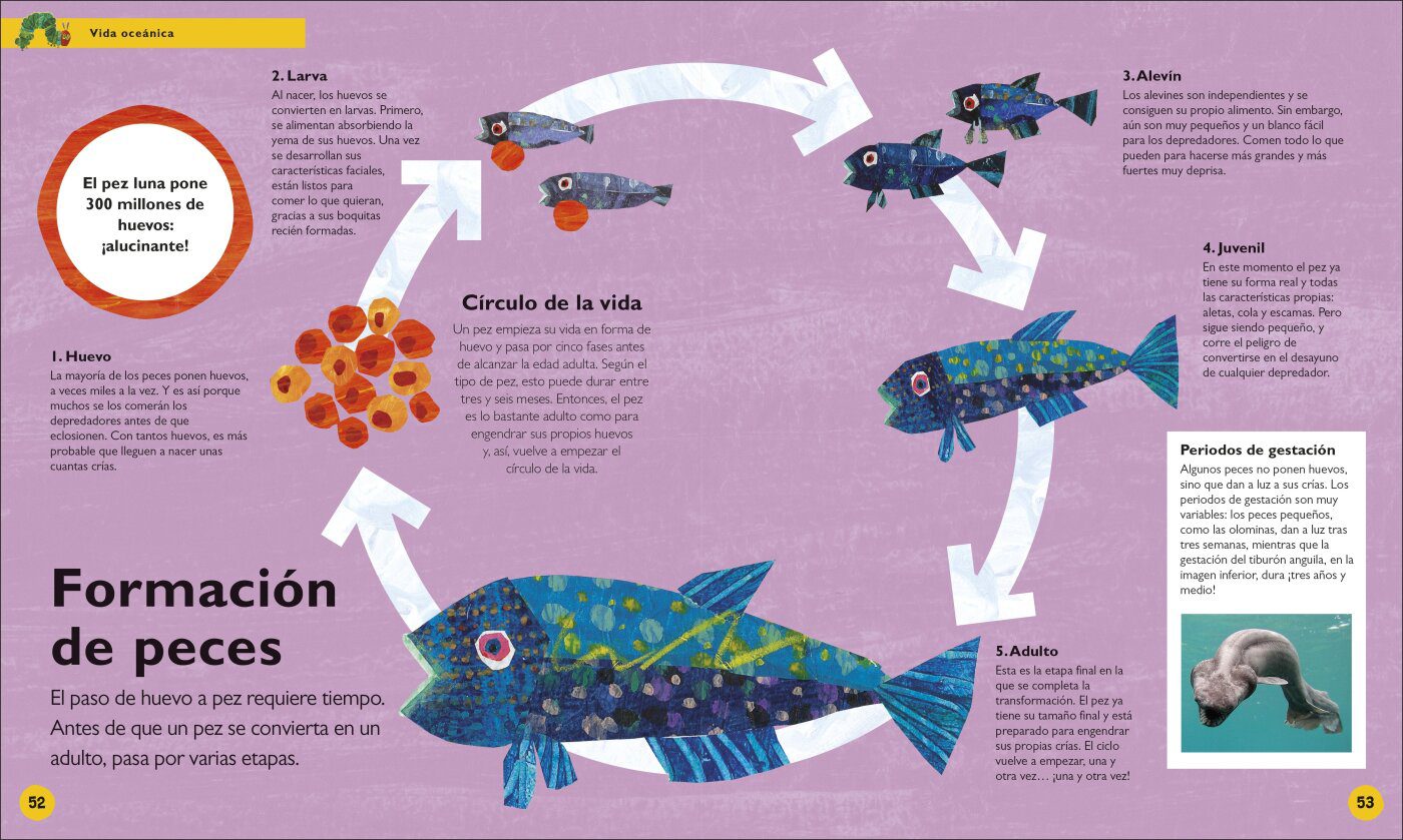 LA PEQUEÑA ORUGA GLOTONA: MI PRIMERA ENCICLOPEDIA DEL OCÉANO - Imagen 3