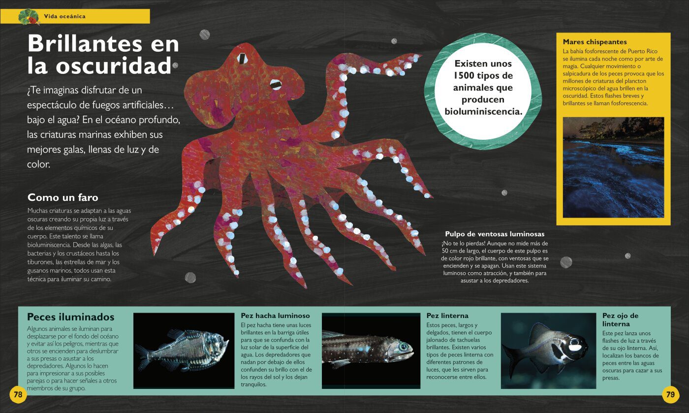 LA PEQUEÑA ORUGA GLOTONA: MI PRIMERA ENCICLOPEDIA DEL OCÉANO - Imagen 4
