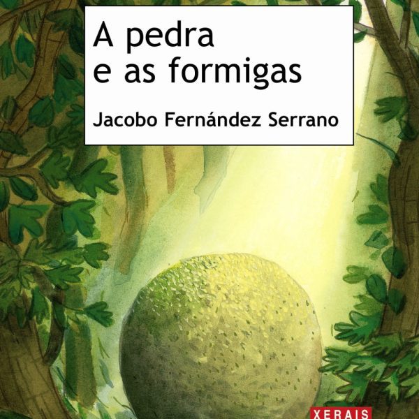 A PEDRA E AS FORMIGAS
