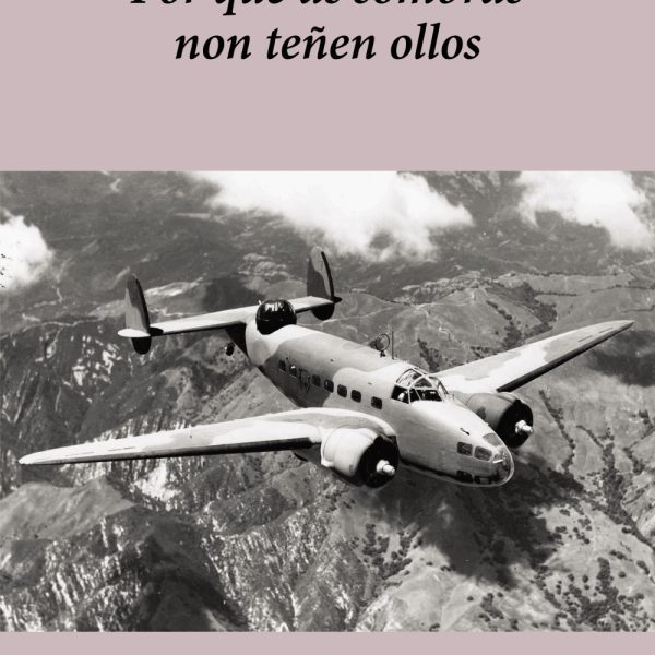 POR QUE AS SOMBRAS NON TEÑEN OLLOS