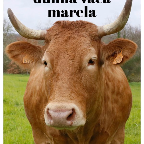 MEMORIAS DUNHA VACA MARELA
