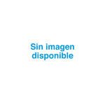 DESARROLLO COGNITIVO Y MOTOR